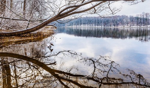 Montgomery county Seneca Creek State Park